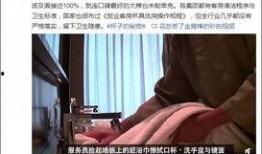 餐厅爆料视频大全集最新,揭秘美食背后的秘密与真相